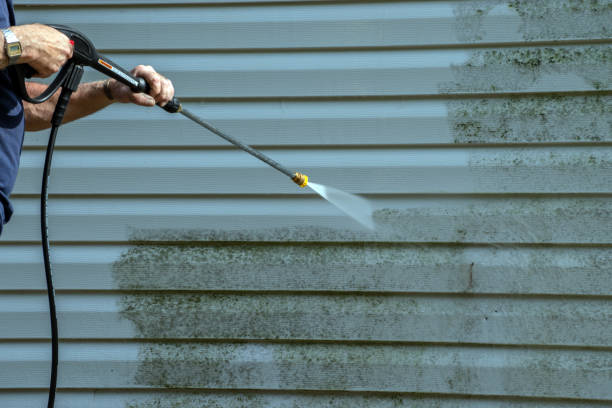 Best Roof Pressure Washing  in Belle, MO