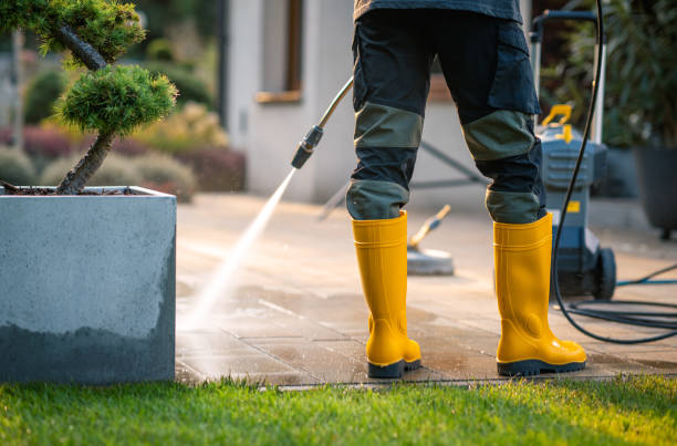 Best Affordable Power Washing  in Belle, MO